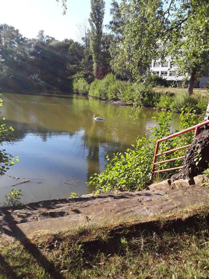 Fewo Therme Inkl Handtuecher Und Bettwaesche Altenau  Luaran gambar